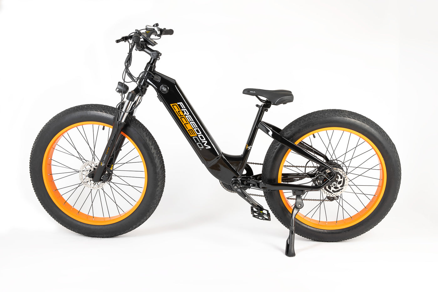 Freedom Cycle Fat Cat ST Electric Bike